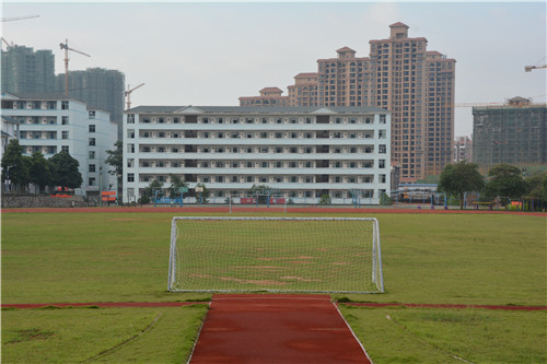 DSC_8992.jpg