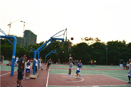 DSC_8651.JPG