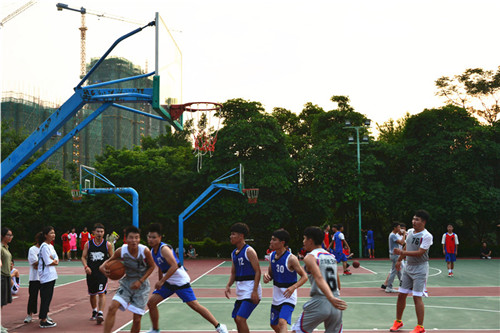 DSC_8652.JPG